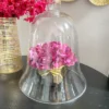 Inspire Me! Home Decor Oversized Glass Bell Cloche 1 Inspire Me! Home Decor Oversized Glass Bell Cloche