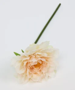 Inspire Me! Home Decor Floral Stems 19" Soft Beige Peony Stem