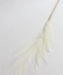 Inspire Me! Home Decor Light Feathered Pampa Grass Stem (4 Colors) Floral Stems