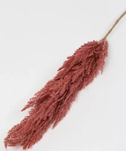 Inspire Me! Home Decor Mauve Feathered Pampa Grass Stem