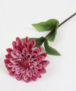 Inspire Me! Home Decor 24