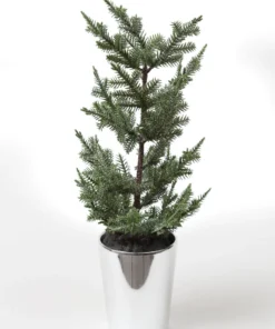 Inspire Me! Home Decor Potted Pine Tree (3 Styles) 10 Inspire Me! Home Decor Potted Pine Tree (3 Styles)