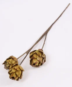 Inspire Me! Home Decor Dried Green Artichoke Stem