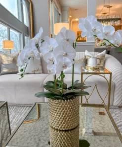 Inspire Me! Home Decor White Orchid In Gold Detailed Pot