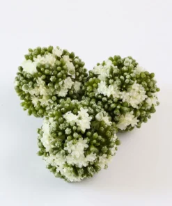 Inspire Me! Home Decor Floral Kalanchoe Orb (3 Colors) 32 Inspire Me! Home Decor Floral Kalanchoe Orb (3 Colors)