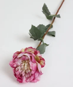 Inspire Me! Home Decor 30" Two Toned Pink/Cream Peony Stem