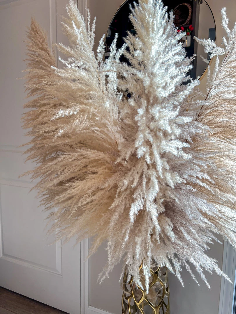 Inspire Me! Home Decor Natural Pampas Grass 4 Inspire Me! Home Decor Natural Pampas Grass