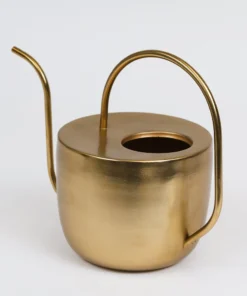 Inspire Me! Home Decor Gold Watering Can