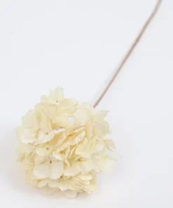 Inspire Me! Home Decor 27" Cream/White Hydrangea Stem
