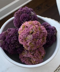 Inspire Me! Home Decor Decorative Faux Sedum Orb (2 Colors)