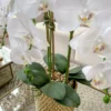 Inspire Me! Home Decor Golden Pebble Stone Vase Filler