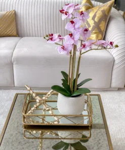 Inspire Me! Home Decor Set Of 2 Gold Mirrored Trays