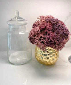 Inspire Me! Home Decor Clear Glass Apothecary Jar With Lid