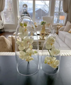 Inspire Me! Home Decor Glass Cloche (2 Sizes) 9 Inspire Me! Home Decor Glass Cloche (2 Sizes)