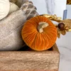 Inspire Me! Home Decor Mini Velvet Orange Decorative Pumpkin 2 Inspire Me! Home Decor Mini Velvet Orange Decorative Pumpkin