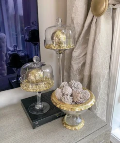 Inspire Me! Home Decor White Decorative Pinecones Box